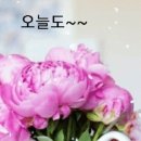장군약국 이미지