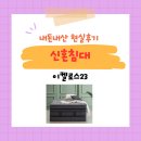 금성침대부천 | 🛏️ 내돈내산 신혼 침대 비교 후기 | 금성침대 vs 베스트슬립 vs 브랜드리스