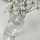 운정블라썸꽃집 | W-4. [파주 운정 꽃집 추천] '운정 블라썸 꽃집'에서 촬영용 안개꽃 부케 및 신랑용 부토니에 구입 후기