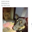 백제당약국 이미지