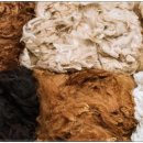 사교농장 이미지