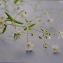 세실리아요양원 이미지