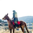 비슬 승마체험장 이미지
