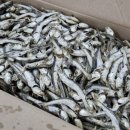 멸치국수 이미지