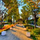 명품가로공원 이미지