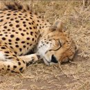 팬텀PC방 이미지