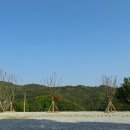 충주 알프스 캠핑장 이미지