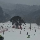만선 이미지