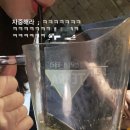 남창생오리