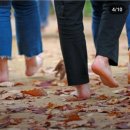 화타약국 이미지