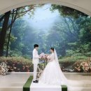 보타닉파크웨딩 이미지