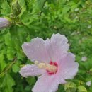 킹(KING)모텔 이미지