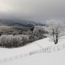 초막목장 이미지