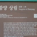 상림오토바이