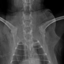 페트로동물의료원 이미지