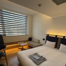 나오미야오 고양이호텔 | Kyoto, 202512 / 교토 4박 5일 여행