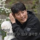 털뭉치들 이미지