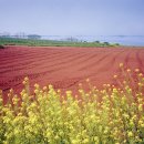 무안국제공항 관광안내소 이미지