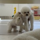 몽린이집 이미지