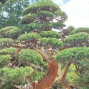 덕인축산 이미지