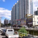 국태그린빌 이미지