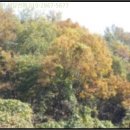 명학1리_마을회관 이미지