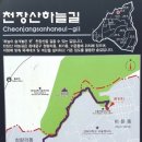 [서울 동대문] 천장산 하늘길 _ 홍릉, 사릉, 경희대 품은 숲의 길 이미지