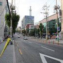 퍼기포레스트 티스토리