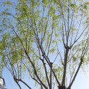 삼삼슈퍼 이미지