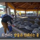 지제목장 네이버블로그