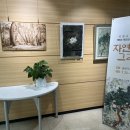 자연을 그리다