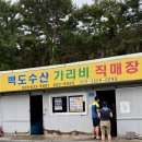 빵빵수산 | 고성 애견동반 맛집 백도수산 | 가리비포장 오션뷰식당 노포현지인맛집 내돈내산 솔직후기