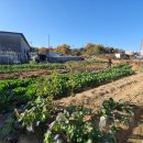 상일축사 이미지