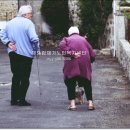 해드림재가센터 이미지