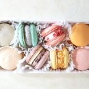 단아한블러썸