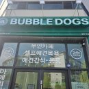버블독스원주