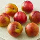 무안족발 이미지