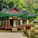 조경시대주 이미지