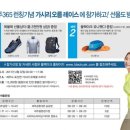 제주365