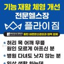 플라이짐