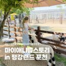 포천 데이트코스 아이와 가볼만한곳 마이애니멀스토리 in 평강랜드 후기 : )