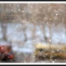 진성모터스2호점 이미지