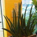 수림전국꽃배달 이미지