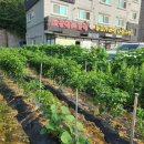 대부농장 이미지