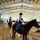 가야초등학교 이미지