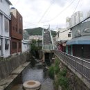 호랭이카 Daum카페