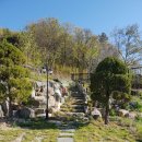 신죽