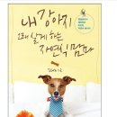 자연식 <b>맘마</b>: 펫영양사가 제안하는 초간단 자연식 <b>레시피</b>