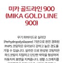 스팅거경주점 이미지