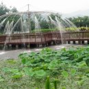 강래구자동차공업사 이미지